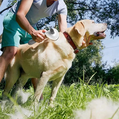Pet Glow Grooming Brush